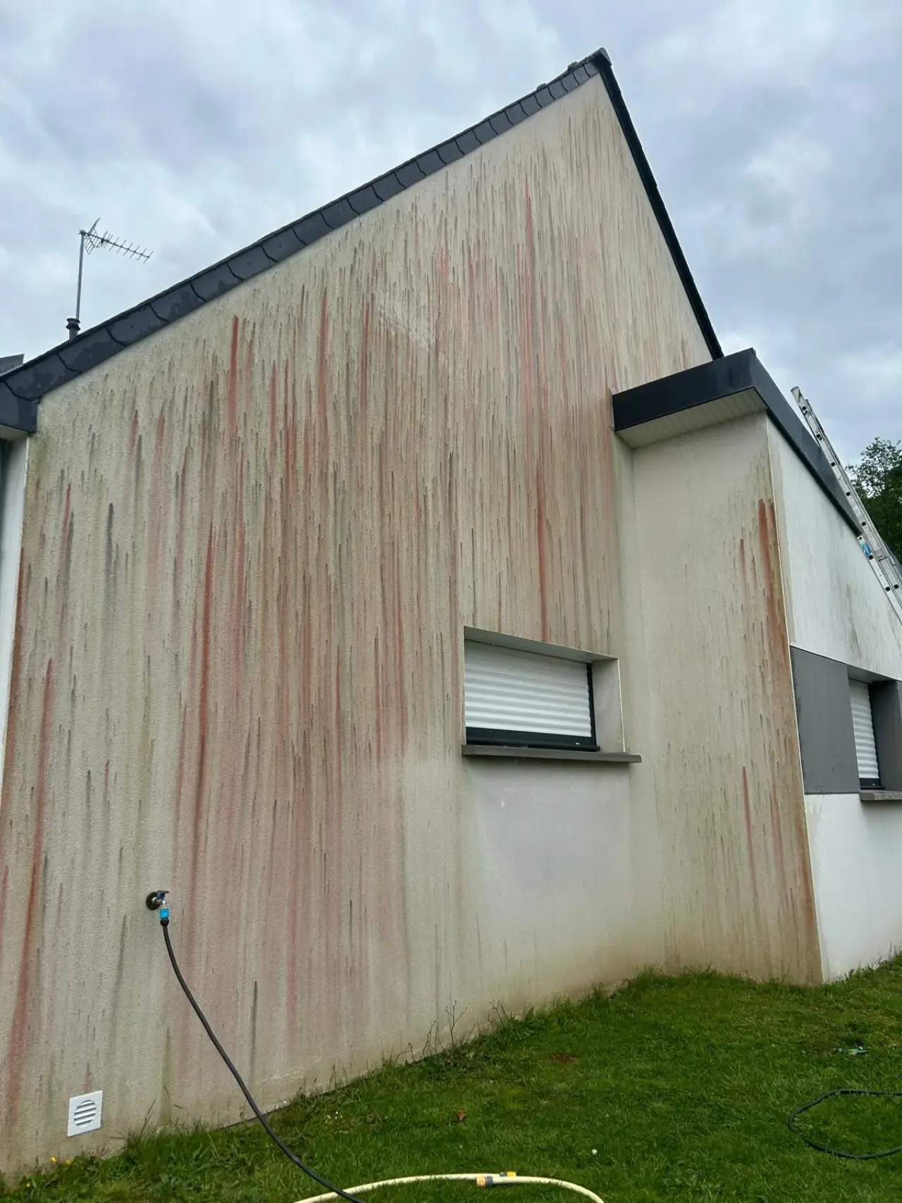 Pignon de maison strié d'algues rouges et vertes, avant nettoyage