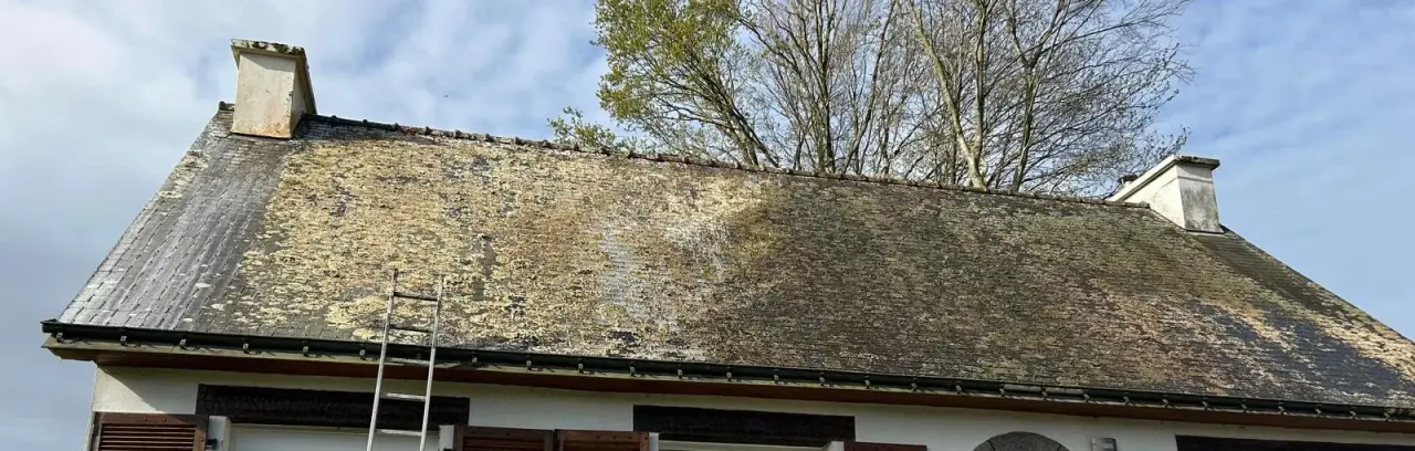 Toiture d'ardoises envahie de mousse, avant démoussage