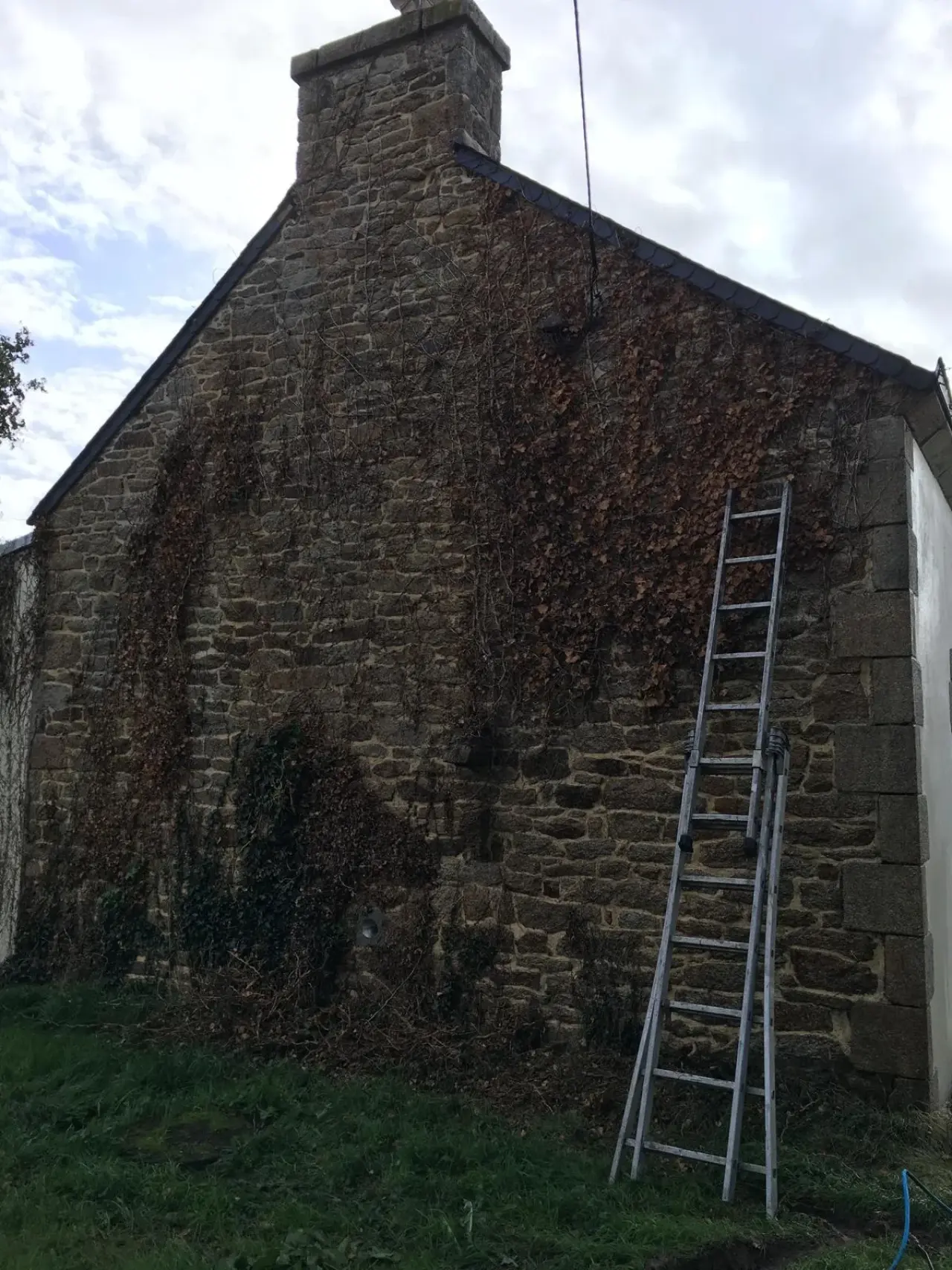 Pignon en pierre entièrement recouvert de lierre mort, avant intervention